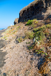 Similar image 10957464