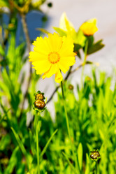 Similar image 10957499