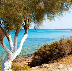 Similar image 10957500