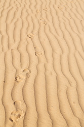 Similar image 10957593