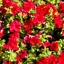 Similar image 10957696