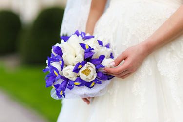 Similar image 10955550