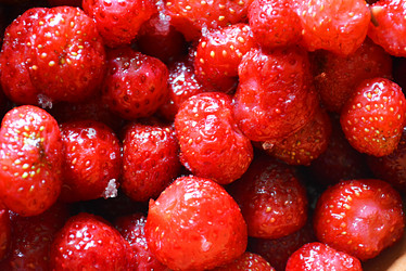 Similar image 10955681