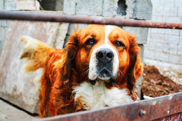 Similar image 10955114