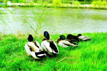 Similar image 10955688