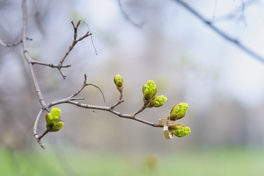 Similar image 10956289