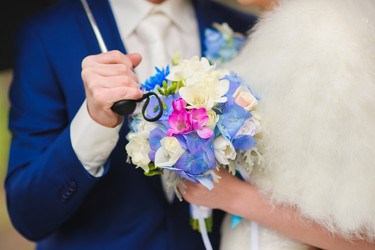 Similar image 10956217