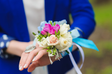 Similar image 10956219