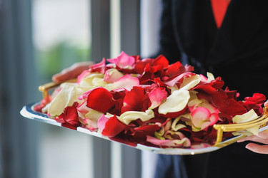 Similar image 10956223