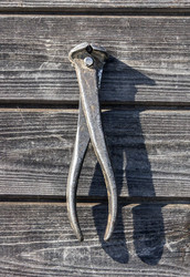 Similar image 10955631