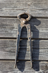 Similar image 10955632