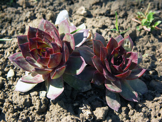 Similar image 10955635