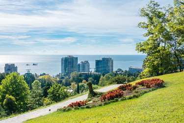 Similar image 10956325