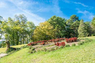 Similar image 10956317