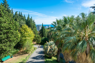 Similar image 10956318