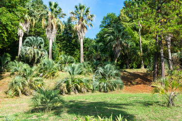 Similar image 10956323