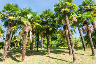 Similar image 10956328