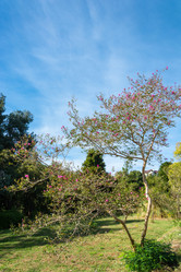 Similar image 10956330