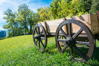 Similar image 10956331