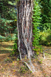 Similar image 10956339