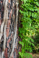 Similar image 10956340