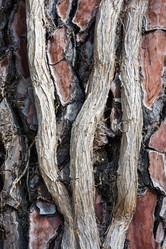 Similar image 10956341