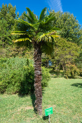 Similar image 10955768