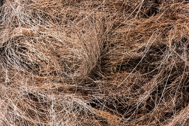 Similar image 10956342