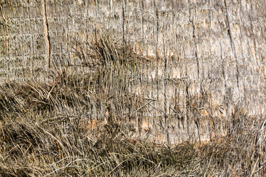 Similar image 10956343