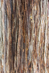 Similar image 10956344