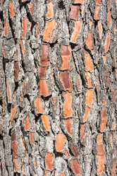 Similar image 10956348