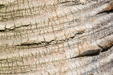 Similar image 10956350