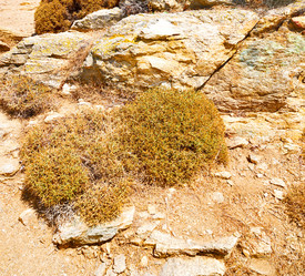 Similar image 10957504