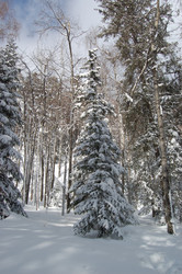 Similar image 10957137