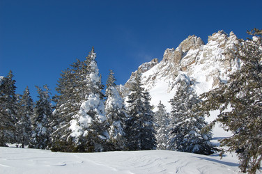 Similar image 10957142