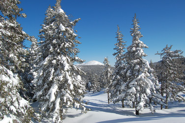 Similar image 10957143