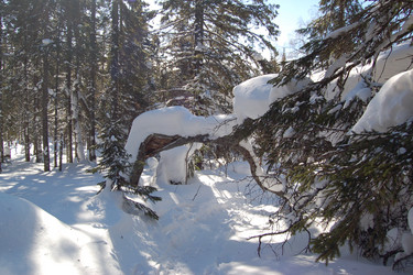 Similar image 10957398