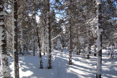 Similar image 10957205