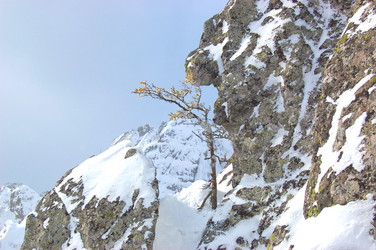 Similar image 10957578