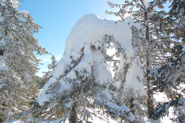 Similar image 10957144