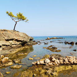 Similar image 10957718