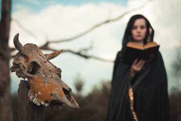 Similar image 10956077