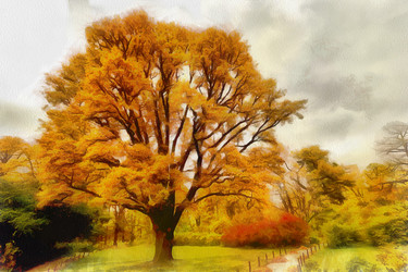 Similar image 10955841