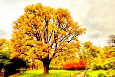 Similar image 10955844