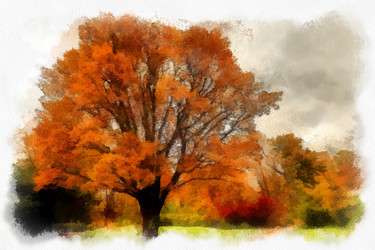 Similar image 10955845