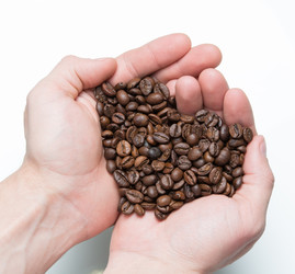 Similar image 10956192