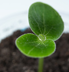 Similar image 10956239