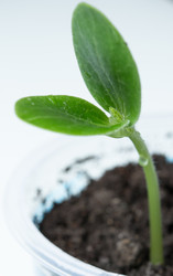 Similar image 10956240