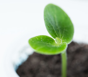 Similar image 10956197