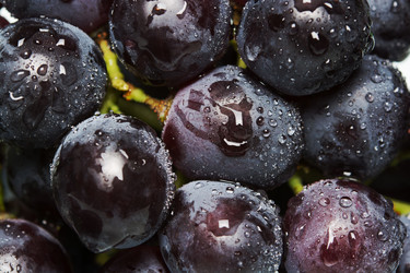 Similar image 10956198